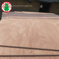 /msite/products/detail/productid/55129062/id/542710.html